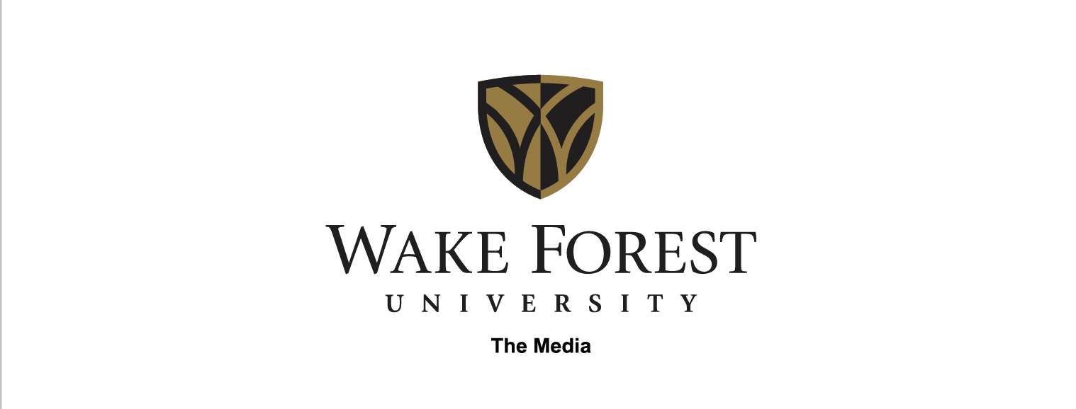 The Media logo